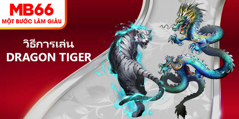 วิธีการเล่น Dragon Tiger สำหรับสมาชิกที่ MB66